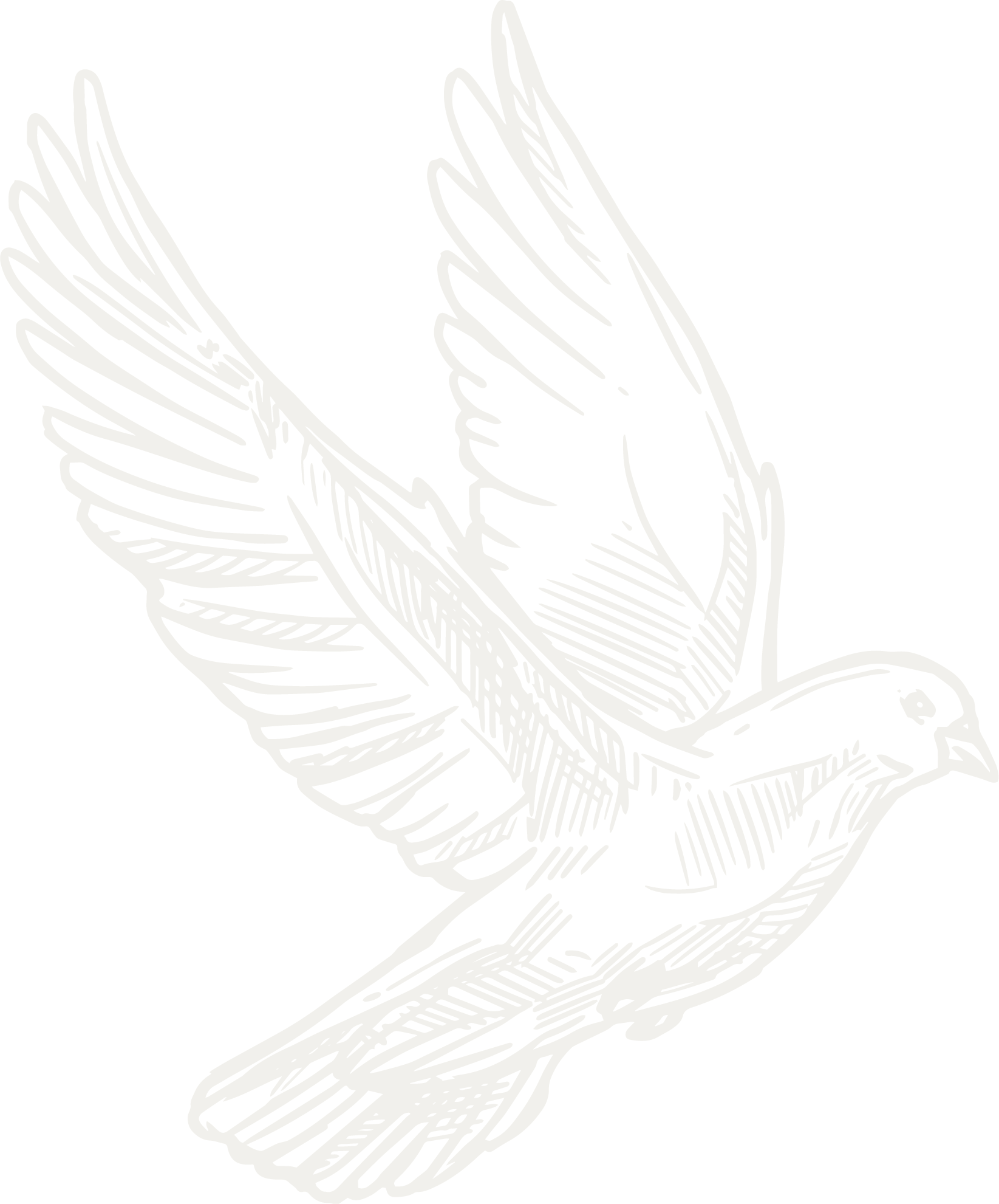 dovecote-page-dove_1